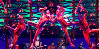 Cirque Du Soleil