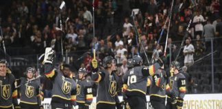Las Vegas Knights Sports Article